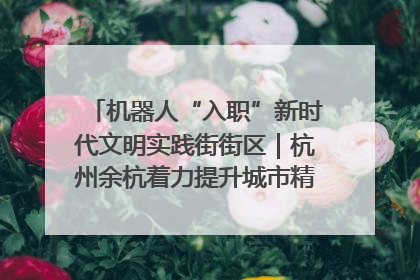 机器人“入职”新时代文明实践街街区｜杭州余杭着力提升城市精细化智能化管理水平