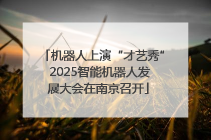 机器人上演“才艺秀” 2025智能机器人发展大会在南京召开
