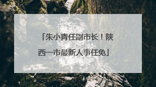 朱小青任副市长！陕西一市最新人事任免