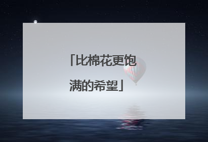 比棉花更饱满的希望