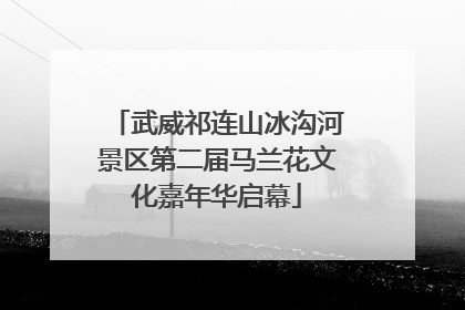 武威祁连山冰沟河景区第二届马兰花文化嘉年华启幕