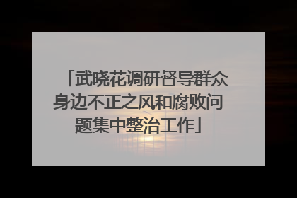 武晓花调研督导群众身边不正之风和腐败问题集中整治工作