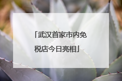 武汉首家市内免税店今日亮相