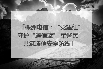株洲电信：“党建红”守护“通信蓝” 军警民共筑通信安全防线