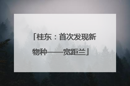 桂东：首次发现新物种——宽距兰