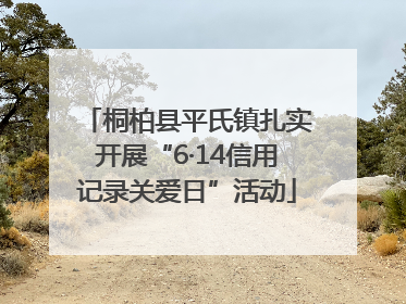桐柏县平氏镇扎实开展“6·14信用记录关爱日”活动
