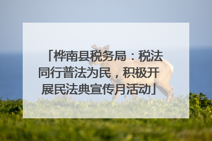 桦南县税务局：税法同行普法为民，积极开展民法典宣传月活动