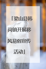 梁山县韩岗镇开展移风易俗宣传活动
