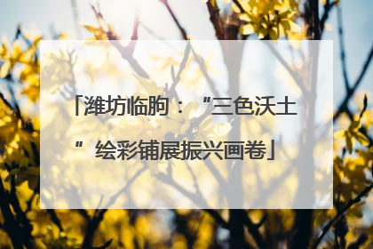 潍坊临朐：“三色沃土”绘彩铺展振兴画卷