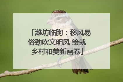 潍坊临朐：移风易俗劲吹文明风 绘就乡村和美新画卷