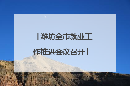 潍坊全市就业工作推进会议召开