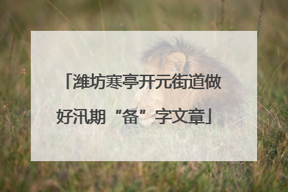潍坊寒亭开元街道做好汛期“备”字文章
