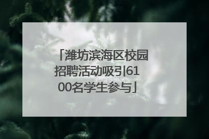 潍坊滨海区校园招聘活动吸引6100名学生参与