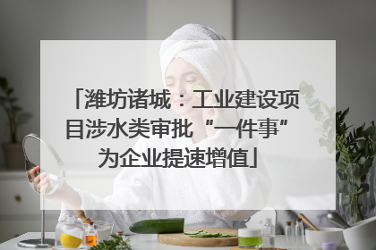 潍坊诸城：工业建设项目涉水类审批“一件事” 为企业提速增值