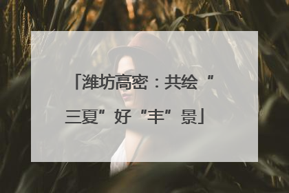 潍坊高密：共绘“三夏”好“丰”景