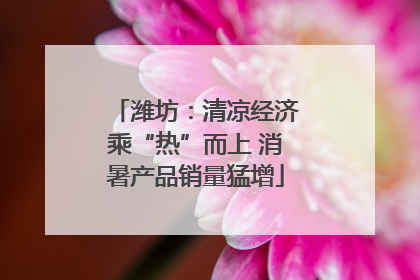 潍坊：清凉经济乘“热”而上 消暑产品销量猛增