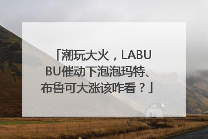 潮玩大火，LABUBU催动下泡泡玛特、布鲁可大涨该咋看？