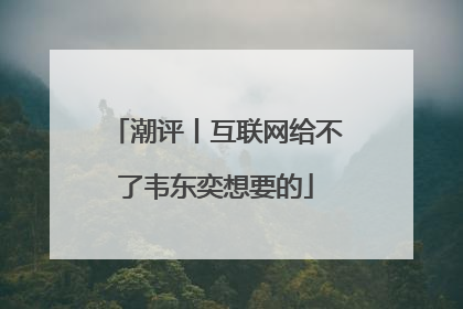 潮评丨互联网给不了韦东奕想要的