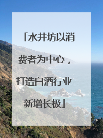 水井坊以消费者为中心，打造白酒行业新增长极