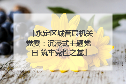 永定区城管局机关党委：沉浸式主题党日 筑牢党性之基