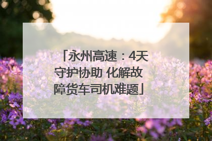 永州高速：4天守护协助 化解故障货车司机难题