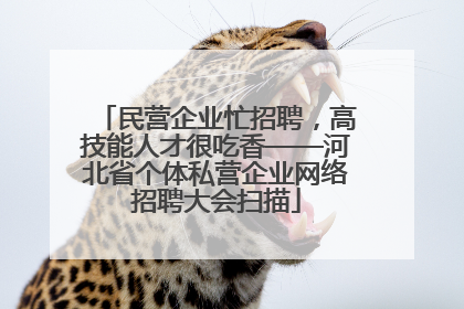 民营企业忙招聘，高技能人才很吃香——河北省个体私营企业网络招聘大会扫描