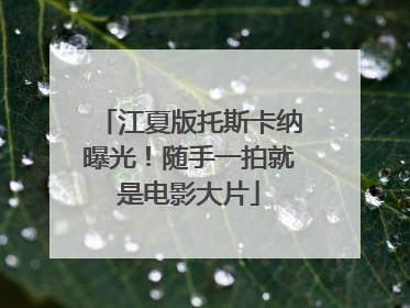 江夏版托斯卡纳曝光！随手一拍就是电影大片