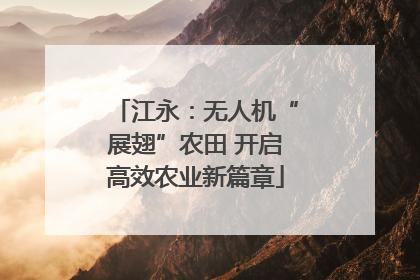 江永：无人机“展翅”农田 开启高效农业新篇章