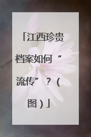 江西珍贵档案如何“流传”？（图）