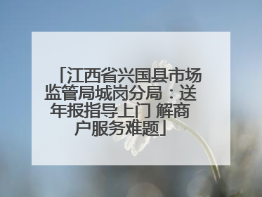 江西省兴国县市场监管局城岗分局：送年报指导上门 解商户服务难题