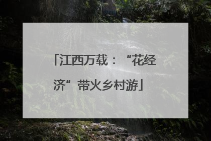江西万载：“花经济”带火乡村游