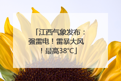 江西气象发布：强雷电！雷暴大风！最高38℃