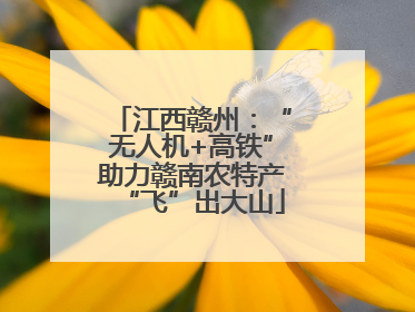 江西赣州：“无人机+高铁”助力赣南农特产“飞”出大山