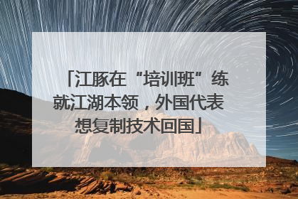 江豚在“培训班”练就江湖本领，外国代表想复制技术回国