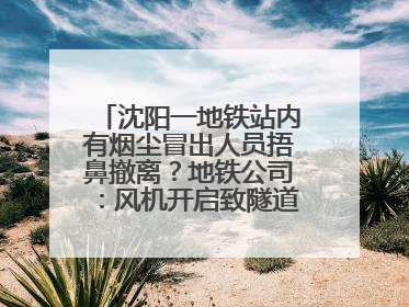 沈阳一地铁站内有烟尘冒出人员捂鼻撤离？地铁公司：风机开启致隧道灰尘飘散至站内