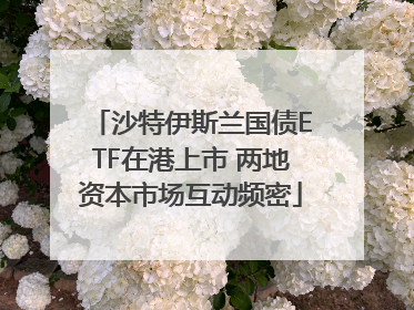 沙特伊斯兰国债ETF在港上市 两地资本市场互动频密