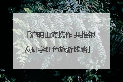 沪明山海携作 共推银发研学红色旅游线路
