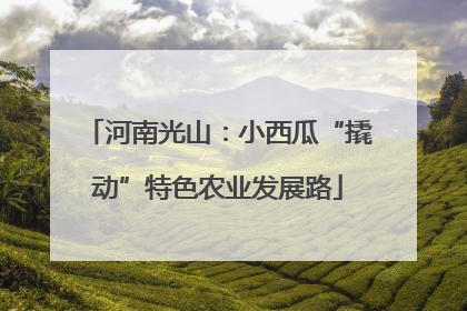 河南光山：小西瓜“撬动”特色农业发展路