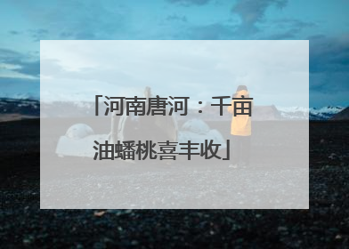 河南唐河：千亩油蟠桃喜丰收