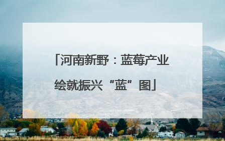 河南新野：蓝莓产业绘就振兴“蓝”图