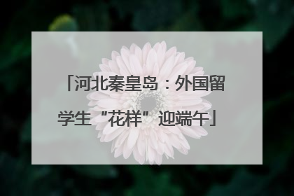 河北秦皇岛：外国留学生“花样”迎端午
