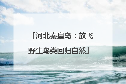 河北秦皇岛：放飞野生鸟类回归自然
