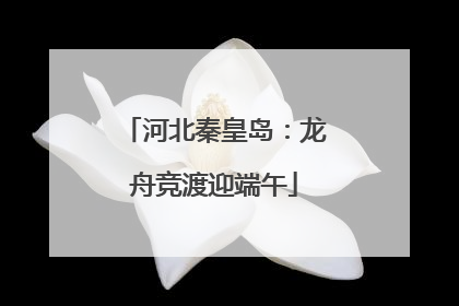 河北秦皇岛：龙舟竞渡迎端午