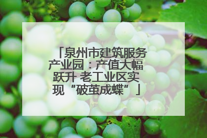 泉州市建筑服务产业园：产值大幅跃升 老工业区实现“破茧成蝶”