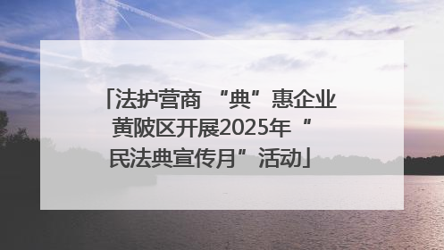 法护营商 “典”惠企业 黄陂区开展2025年“民法典宣传月”活动