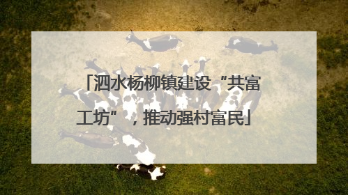 泗水杨柳镇建设“共富工坊”，推动强村富民