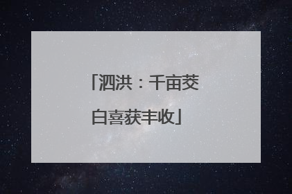 泗洪：千亩茭白喜获丰收
