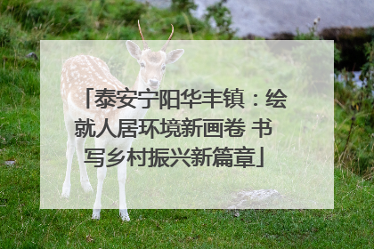 泰安宁阳华丰镇：绘就人居环境新画卷 书写乡村振兴新篇章