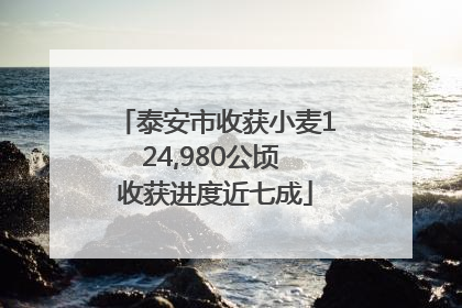 泰安市收获小麦124,980公顷 收获进度近七成