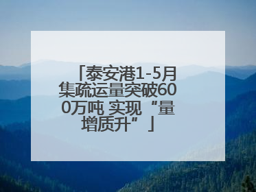 泰安港1-5月集疏运量突破600万吨 实现“量增质升”